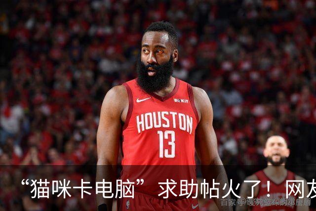 “猫咪卡电脑”求助帖火了！网友疯狂支招，场面十分“混乱”！