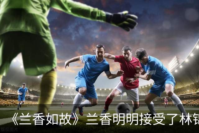 《兰香如故》兰香明明接受了林锦岐，为什么还要过两年，才同意圆房