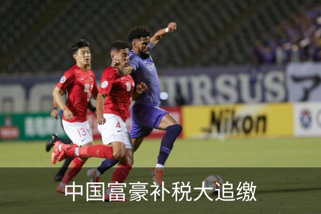 中国富豪补税大追缴
