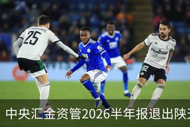 中央汇金资管2026半年报退出陕天然气与深圳燃气前十大股东名单！