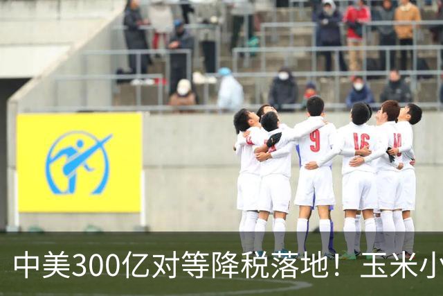 中美300亿对等降税落地！玉米小麦全部免税，唯独大豆保留10%关税