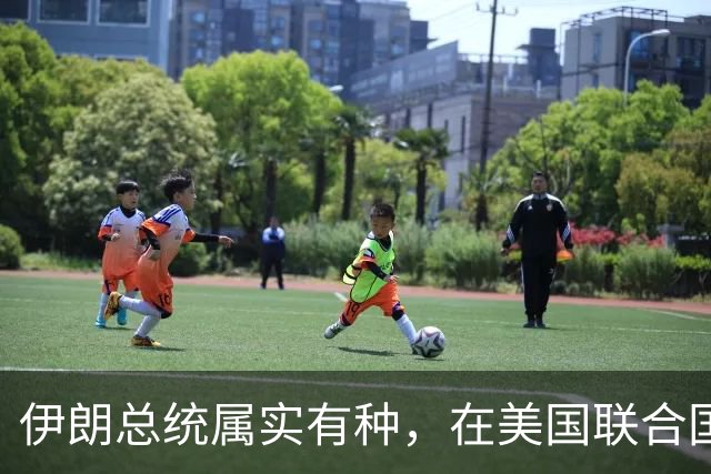 伊朗总统属实有种，在美国联合国大会上，直接举起哈梅内伊画像
