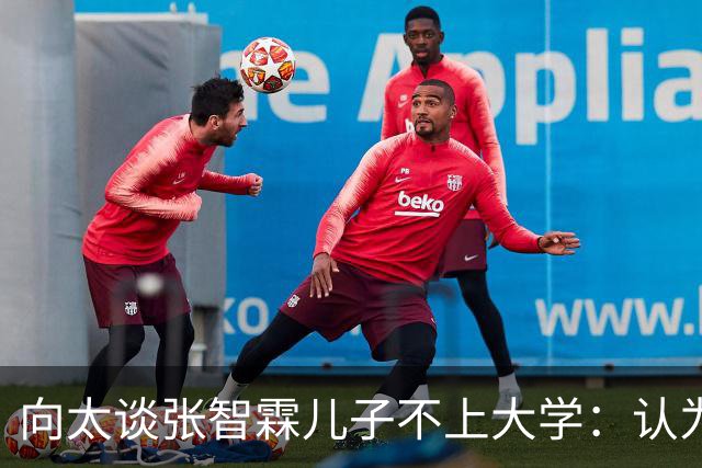 向太谈张智霖儿子不上大学：认为可以自学，还想在爸爸演唱会弹吉他