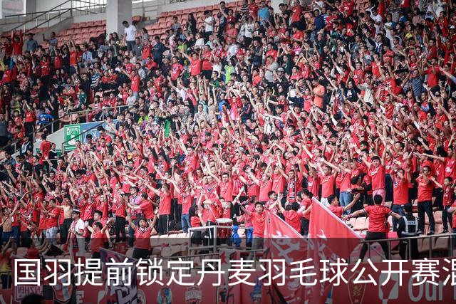 国羽提前锁定丹麦羽毛球公开赛混双冠军-国际在线