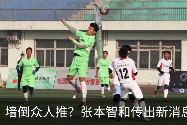 墙倒众人推？张本智和传出新消息，原来樊振东早就猜中了他的结局