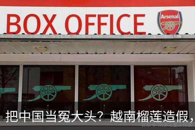 把中国当冤大头？越南榴莲造假，销量暴跌，副总理亲自来华求松口