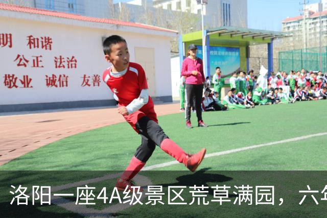 洛阳一座4A级景区荒草满园，六年五次拆除调查：运营方认为相关拆除行为属于强制拆除，管委会称拆除的是占用耕地的违法建设