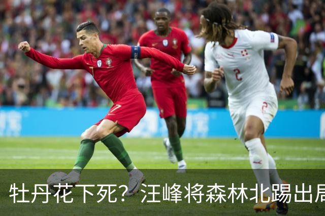 牡丹花下死？汪峰将森林北踢出局，这次终于彻底印证葛荟婕的评价