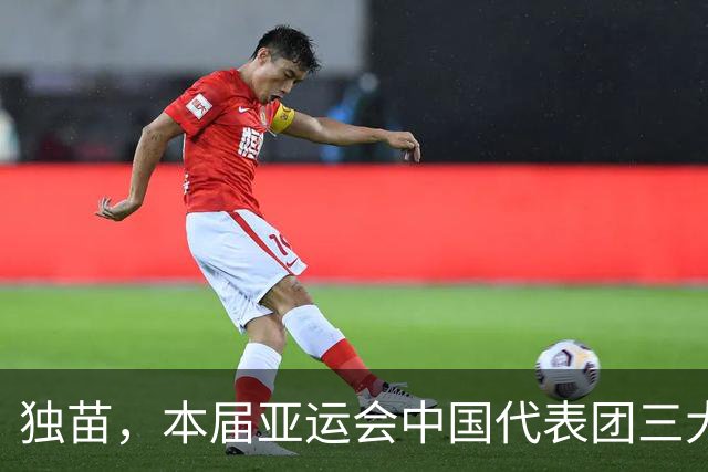 独苗，本届亚运会中国代表团三大球项目仅女排夺冠