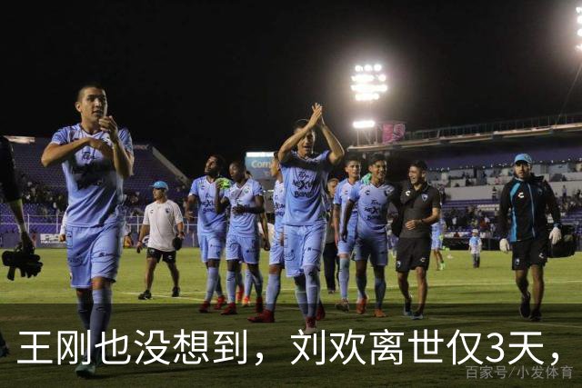王刚也没想到，刘欢离世仅3天，前妻成方圆竟因一个举动口碑暴涨
