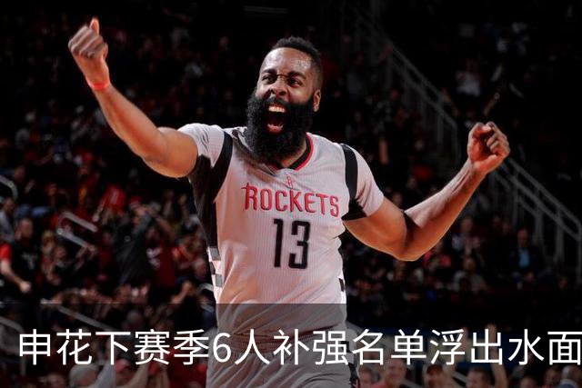 申花下赛季6人补强名单浮出水面，未来他们将挑大梁，值得期待