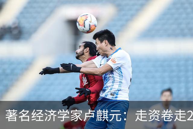 著名经济学家卢麒元：走资卷走21万亿，否则早就实现共同富裕了！