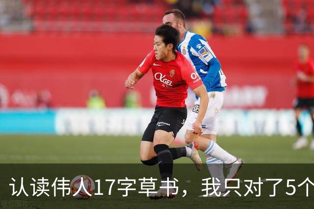 认读伟人17字草书，我只对了5个，全识者请受我一拜！石面天然高低，题字刻石如何因形布势而不失原笔意？