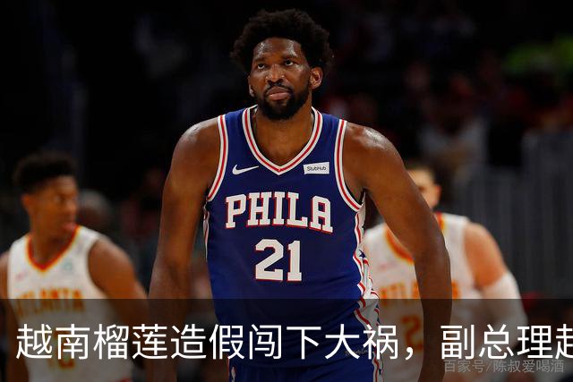 越南榴莲造假闯下大祸，副总理赶到南宁，请中国再给他们次机会？
