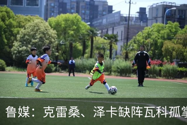 鲁媒：克雷桑、泽卡缺阵瓦科孤掌能鸣 4名泰山队新星获出场机会