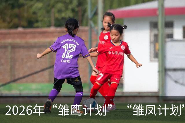 2026年“雏鹰计划”“雏凤计划”赴西班牙集训动员会在京举行