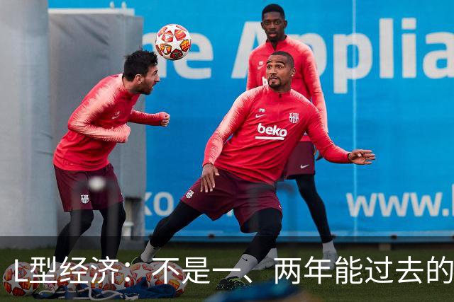 L型经济：不是一、两年能过去的